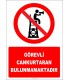 EF2436 - Görevli Cankurtaran Bulunmamaktadır