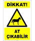 EF2491 - Dikkat! At Çıkabilir