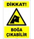 EF2492 - Dikkat! Boğa Çıkabilir