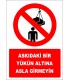 EF2544 - Askıdaki Bir Yükün Altına Asla Girmeyin