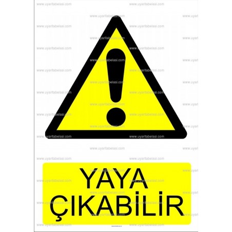 AYT 1003 - Yaya çıkabilir