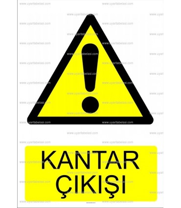 AYT 1006 - Kantar çıkışı