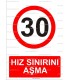 AYT 2008 - Hız sınırını aşma, 30
