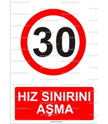 AYT 2008 - Hız sınırını aşma, 30