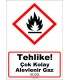 GHS 1016 - Tehlike, Çok Kolay Alevlenir Gaz (H220)