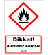 GHS 1018 - Dikkat Alevlenir Aerosol (H223)