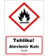 GHS 1025 - Tehlike, Alevlenir Katı (H228)