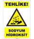 ZY1919 - ISO 7010 Tehlike! Sodyum Hidroksit