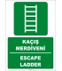 ZY2087 - ISO 7010 Kaçış Merdiveni, Escape Ladder