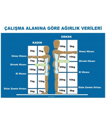 ZY3106 - Kadın ve Erkek İçin Çalışma Alanına Göre Ağırlık Verileri